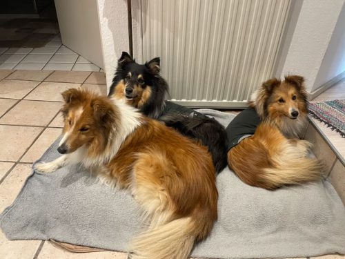 3 beim kuscheln