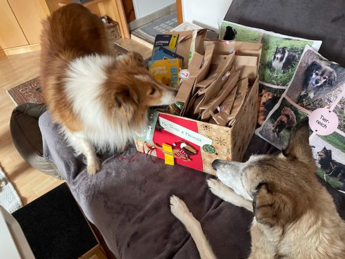 Adventkalender SAbine