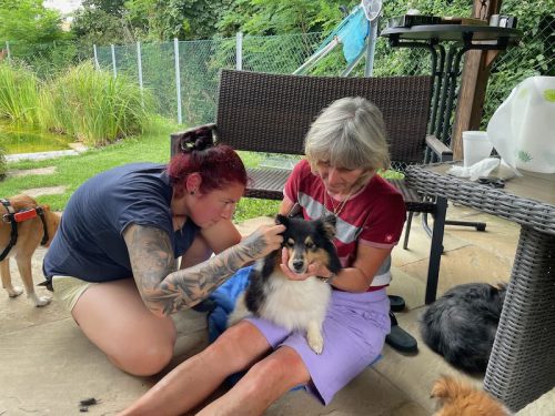 Meggx ohren