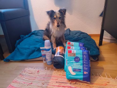 Schöni Geschenke