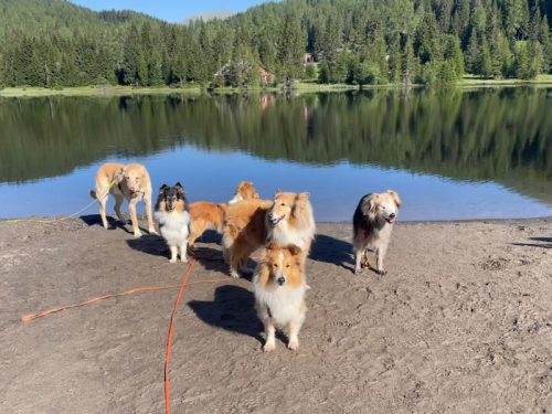 am prebersee
