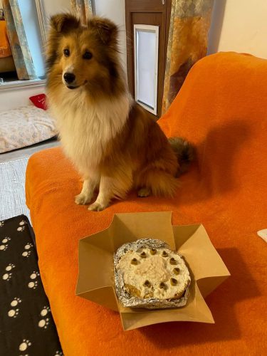 chris Gt torte