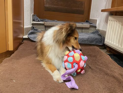 chrissy schnüffler