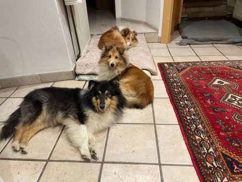 chrissy und freunde Gt 8 müde