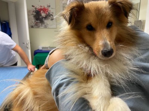 chrissy wieder munter