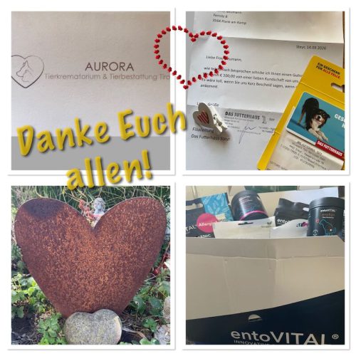 danke 0926