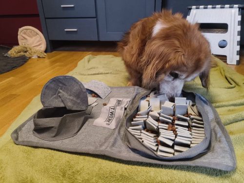 dorie schnüffler neu