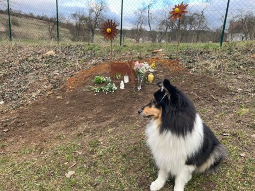 estrella grab mit Meggx