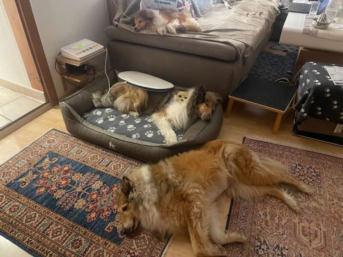 luki behandlung