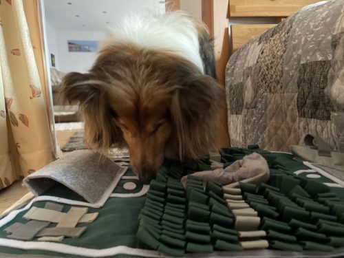 luki schnüffelpolster