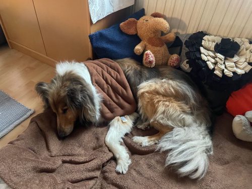 luki wärmekissen neu