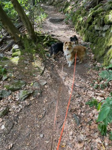 maukis meurersteig1