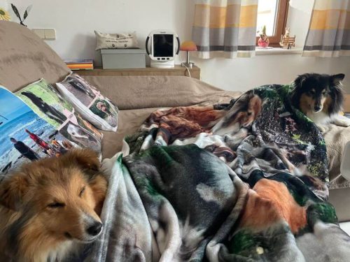 meggx, chrissy decke