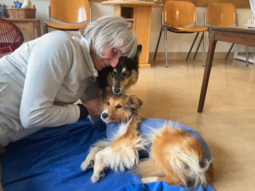 meggx, chrissy kastriert