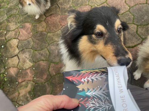 meggx weihnachten danke