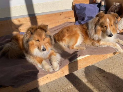 morgensonne chri, na