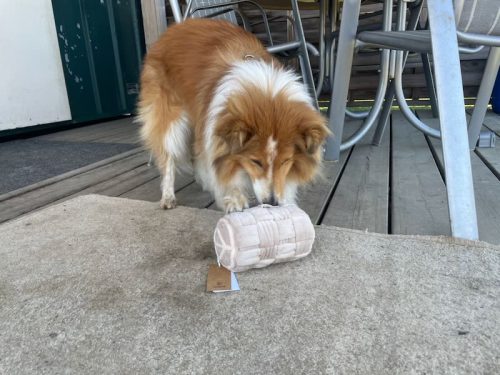 naama Gt Geschenk