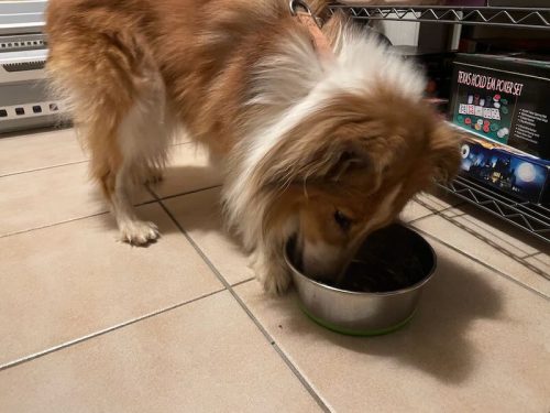 naama essen nach OP