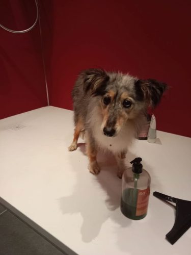 ömchen dusche