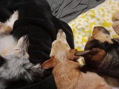 ömchen gruppenkuscheln