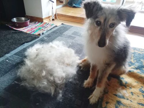 ömchen haare