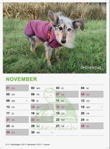 ömchen kalender 26