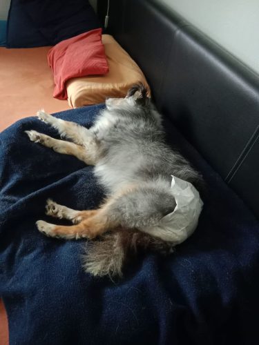ömchen müde
