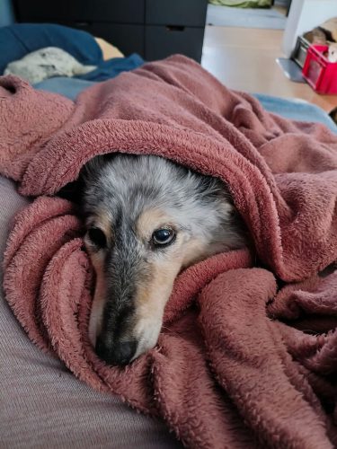ömchen warm eingepackt