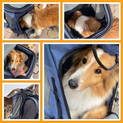 rucksacktraining