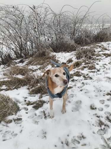 samuel GTspaziergang