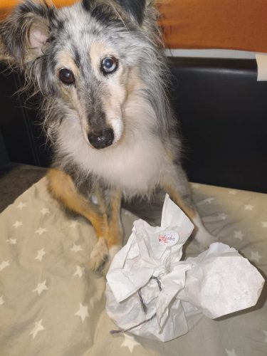 schöni geschenk1