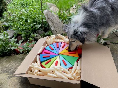 schöni torte groß