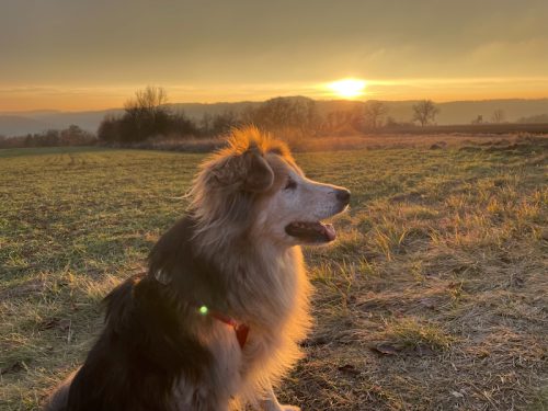 sop sonnenuntergang