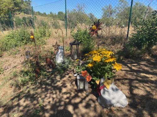 sophia grab
