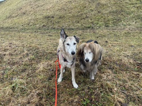 sophia und estrella 2026