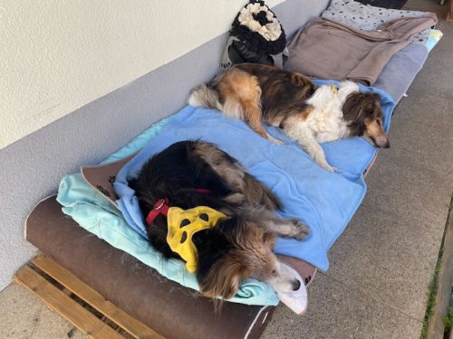 sophia und luki platzerl