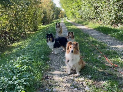 spaziergang nach TA