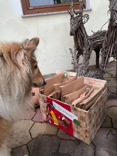 tessy weihnachtsvorfreude