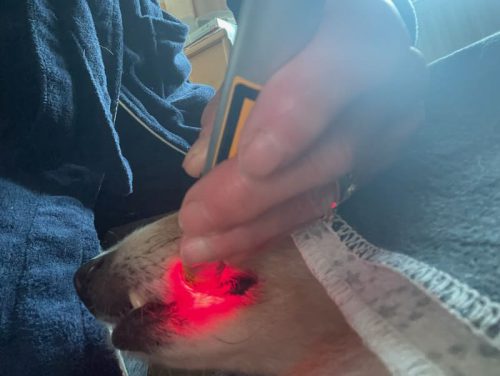 tessy zähne laser