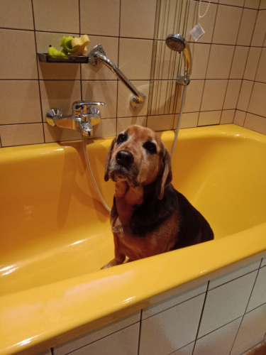 theo badewanne