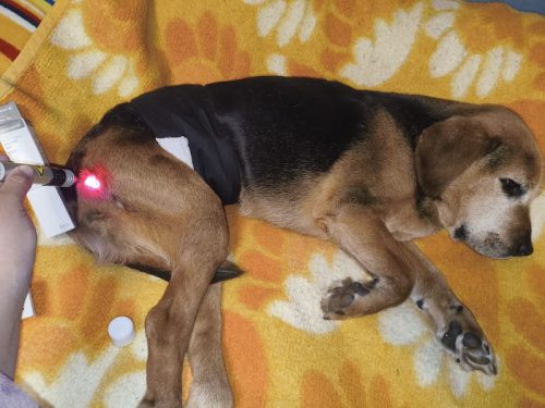 theo laser 06
