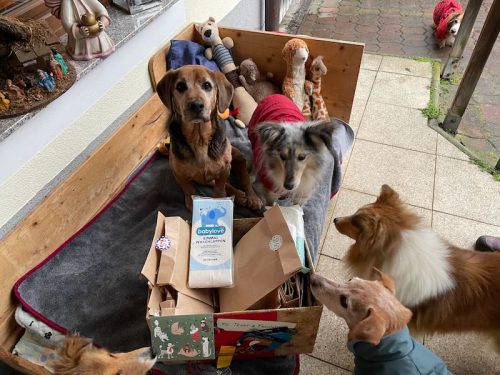 theo, ömchen adventkalender