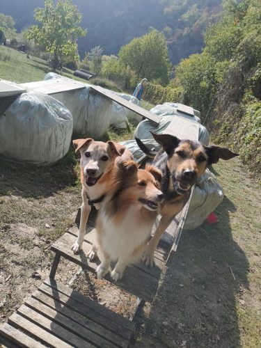 trio platz