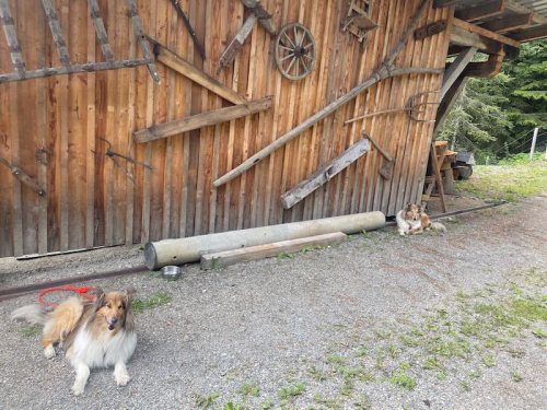 urlaub luki, tessy