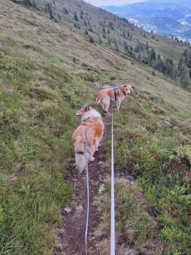 urlaub tessy, bruno