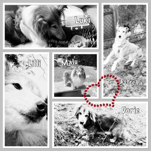 verstorbene mit malu